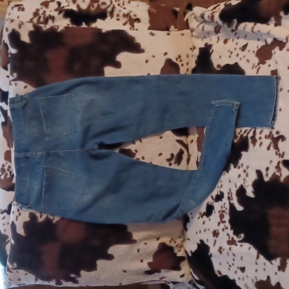 ARIZONA JEAN CO. WOMENS JEANS SIZE 5. - Picture 5 of 8